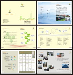 數(shù)據(jù)賦能，價(jià)值可視 企業(yè)管理公司畫(huà)冊(cè)圖片數(shù)據(jù)處理服務(wù)解決方案